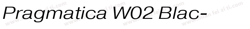 Pragmatica W02 Blac字体转换
